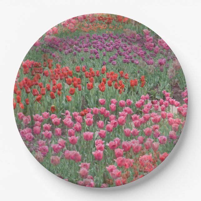 Field Of Tulips Paper Plates (Front)