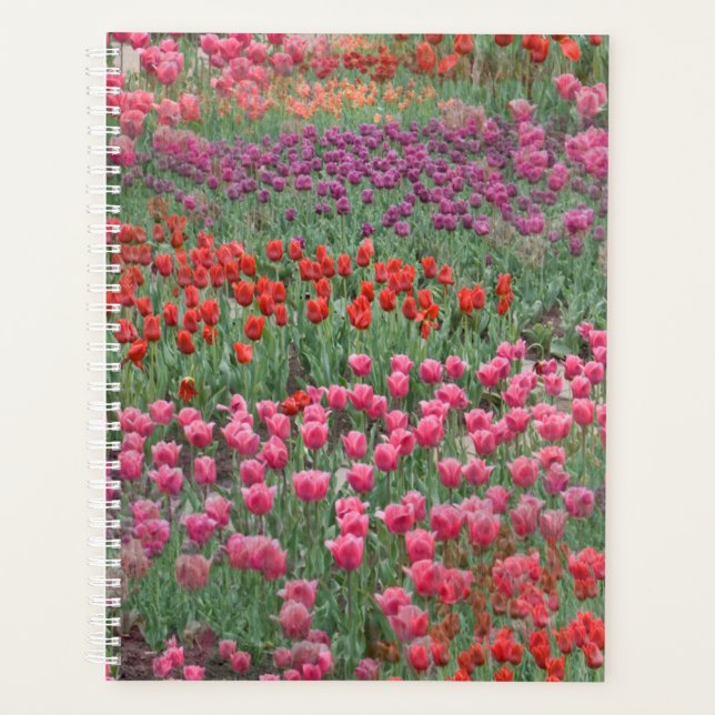 Field Of Tulips Planner (Front)