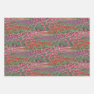 Field Of Tulips Wrapping Paper Sheets