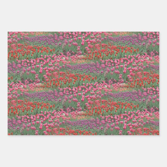 Field Of Tulips Wrapping Paper Sheets (Front 3)
