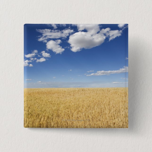 Field of wheat button (Front)