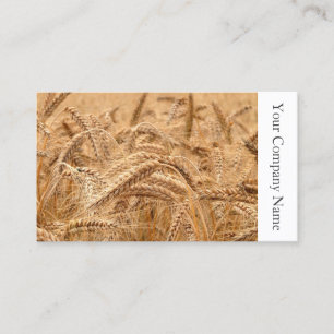Field of Wheat Photograph - Business Card