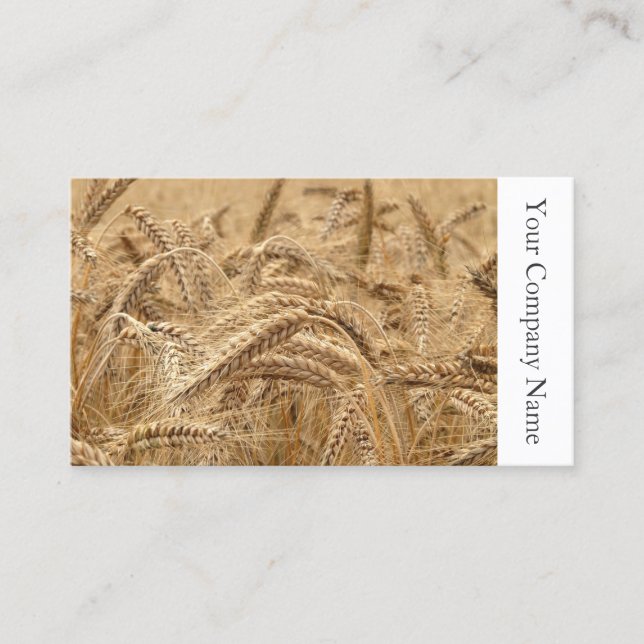 Field of Wheat Photograph - Business Card (Front)