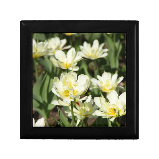 Field of white tulips Photo Gift Box (Front)