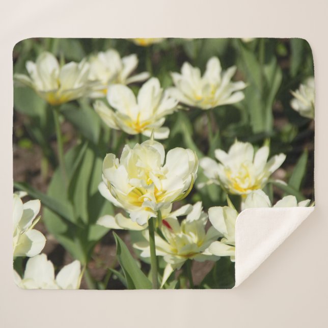 Field of white tulips Photo Sherpa Blanket (Front (Horizontal))