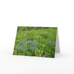Field of Wildflowers at Mount Rainier Card