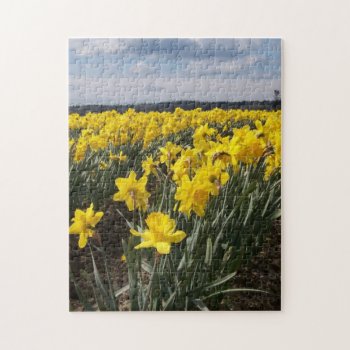 Field Of Yellow Daffodils Photo Jigsaw Puzzle by RiverJude at Zazzle