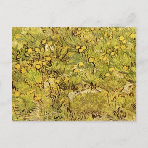 Field of Yellow Flowers Vincent van Gogh Postcard