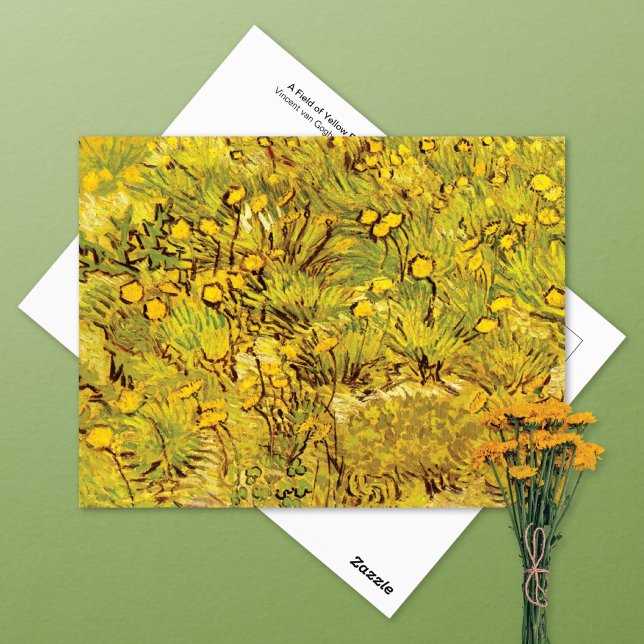 Field of Yellow Flowers Vincent van Gogh Postcard (Creator Uploaded)