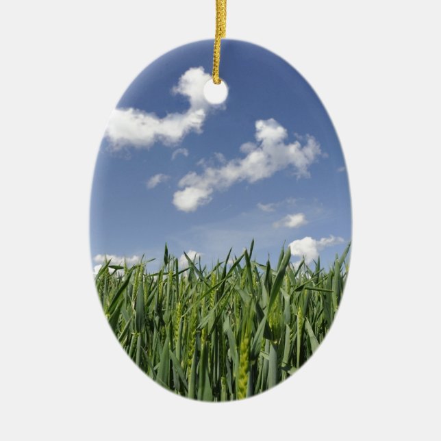 Field of young corn ceramic ornament (Front)