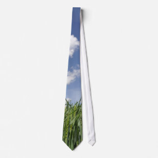 Field of young corn neck tie