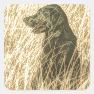 Field Outdoorsman Hunting Dog Puppy Black lab Square Sticker