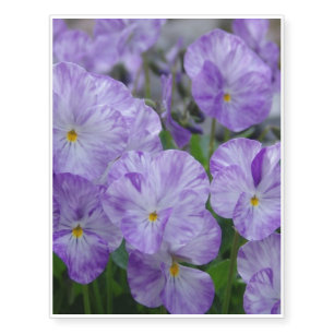Field Pansies Temporary Tattoos