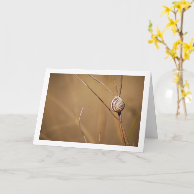 Field Snail Shell Portrait Card (Yellow Flower)