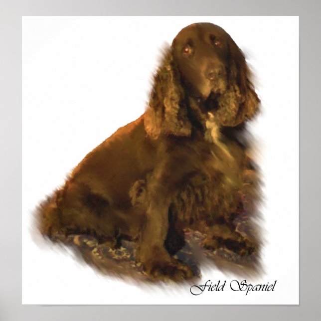 Field Spaniel Art Prints (Front)