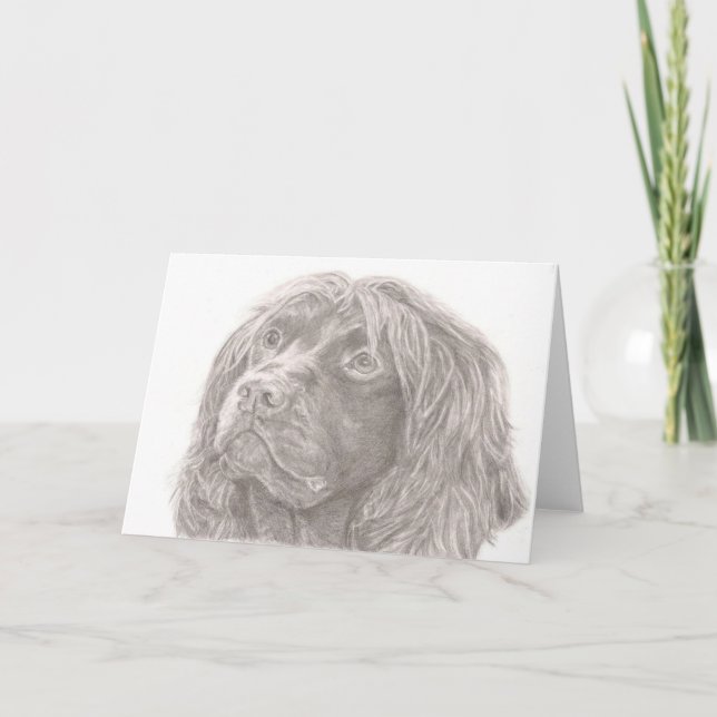 Field Spaniel Greeting Card (Front)