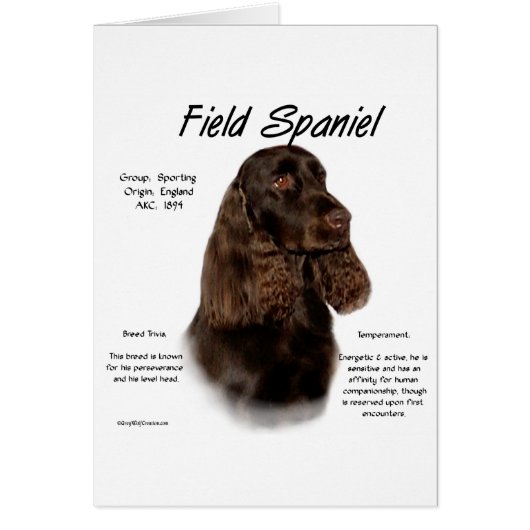 Field Spaniel History Design (Front)