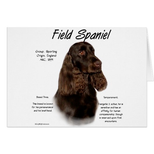 Field Spaniel History Design Cards (Front Horizontal)