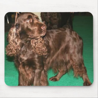 Field Spaniel Mousepad