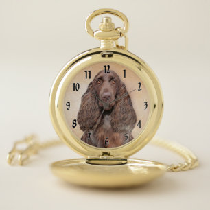 Field Spaniel Painting - Cute Original Dog Art Pocket Watch