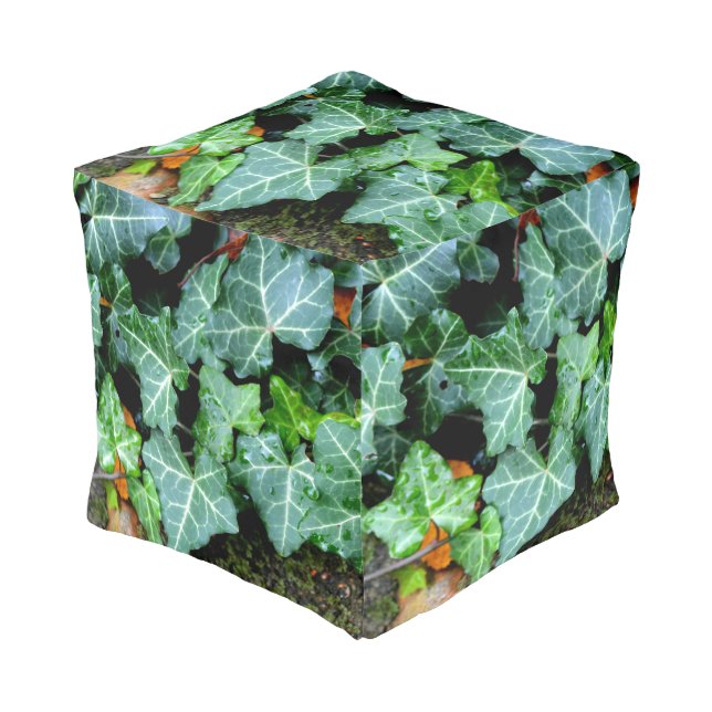 Field Stone and Ivy Pouf (Angled Front)