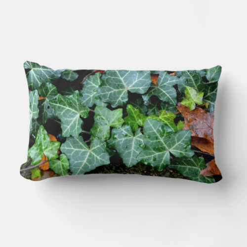 Field Stones ivy garden wall botanical decor  Lumbar Pillow