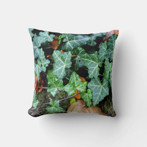 Field Stones ivy garden wall botanical decor  Throw Pillow