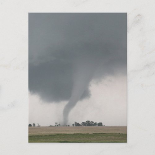 Field Tornado Postcard