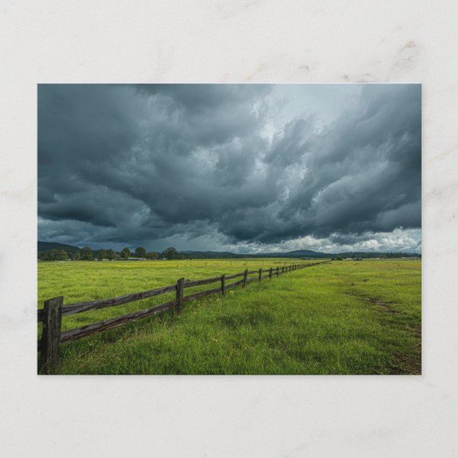 Field with a Wooden Fence Postcard (Front)