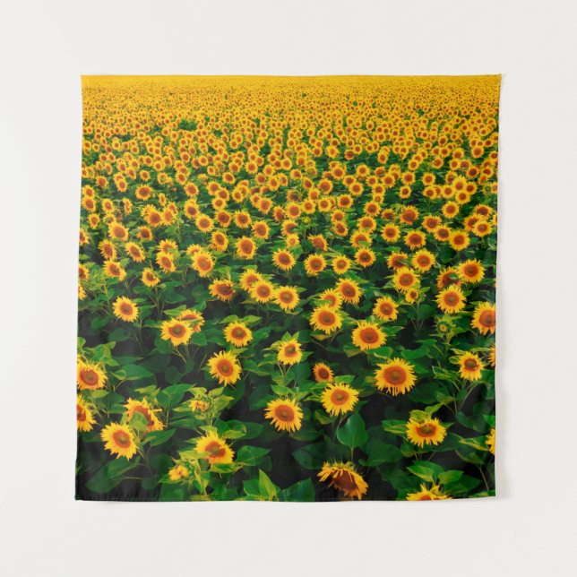 Field with bright yellow sunflowers in sunny day.  tapestry (Front)