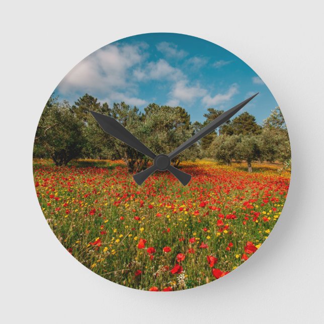 field with flowers and trees round clock (Front)