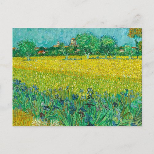 Field with Irises near Arles by Vincent van Gogh Postcard
