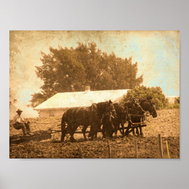 Field Work Poster (Front)