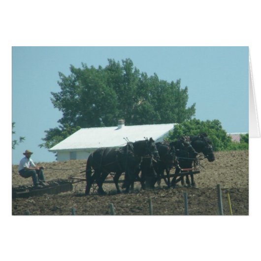Field Work with Horses Cards (Front Horizontal)