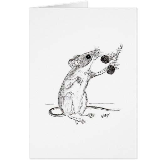 Fieldmouse & Blackberries Cards (Front)