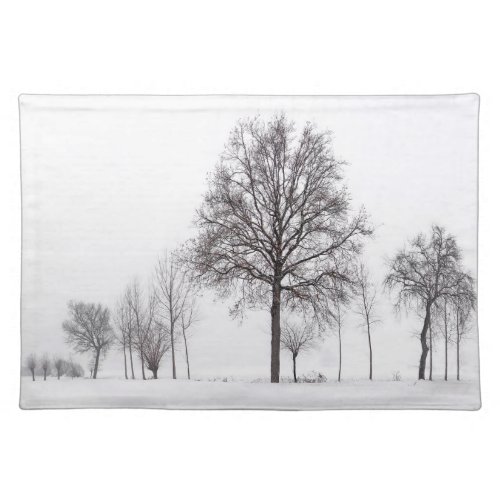 Fields Around Scalenghe  Piedmont Italy Cloth Placemat