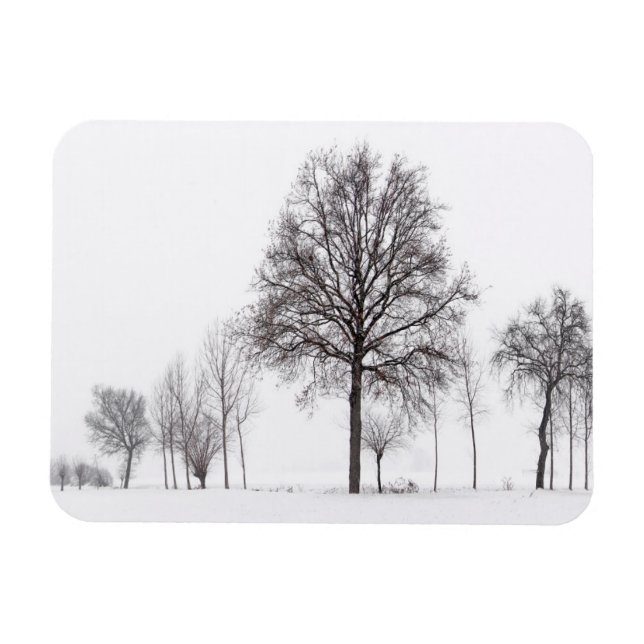 Fields Around Scalenghe | Piedmont, Italy Magnet (Horizontal)