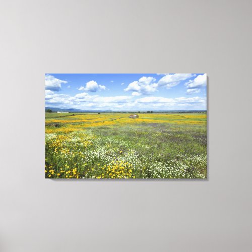 Fields In Springtime Near Guadalupe Canvas Print
