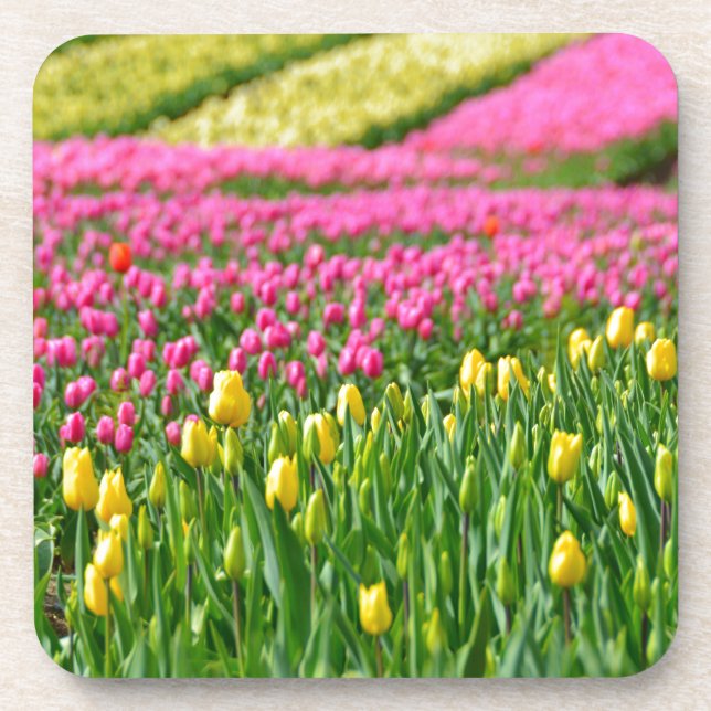 Fields of Colors Coaster (Front)