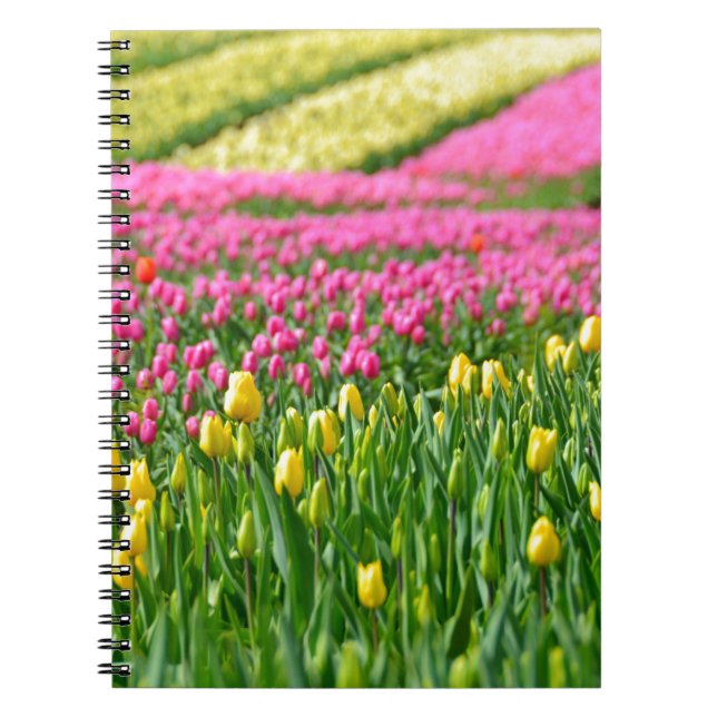 Fields of Colors Notebook (Front)