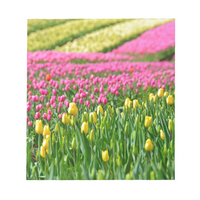 Fields of Colors Notepad (Front)