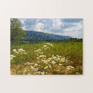 Fields of Daisies Tennessee. Jigsaw Puzzle