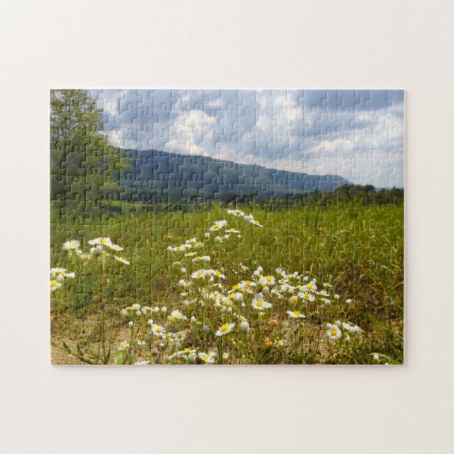 Fields of Daisies Tennessee. Jigsaw Puzzle (Horizontal)