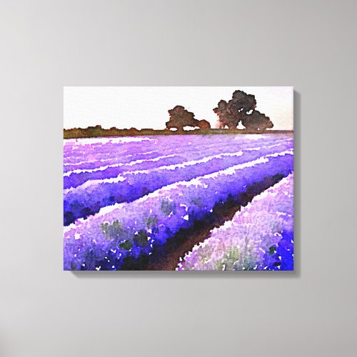 Fields of Lavender Canvas Print