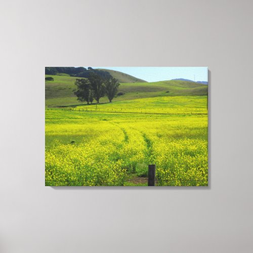 Fields of Mustard Seed _ Wrapped Canvas