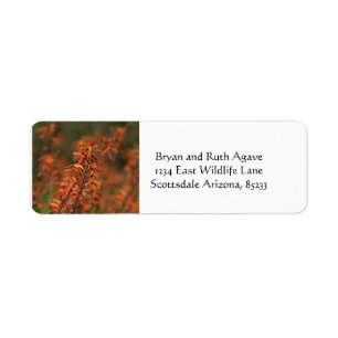 Fields of Orange Agave Label