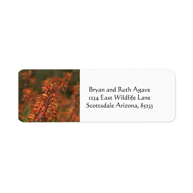 Fields of Orange Agave Label (Front)