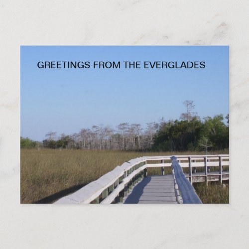 FIELDS OF THE EVERGLADES POSTCARD