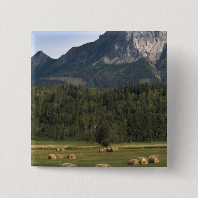 Fields with bailed hay, Alberta, Canada Button (Front)