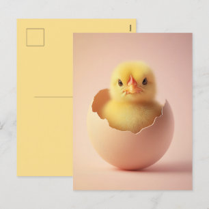 Fierce Chick in Eggshell Holiday Postcard